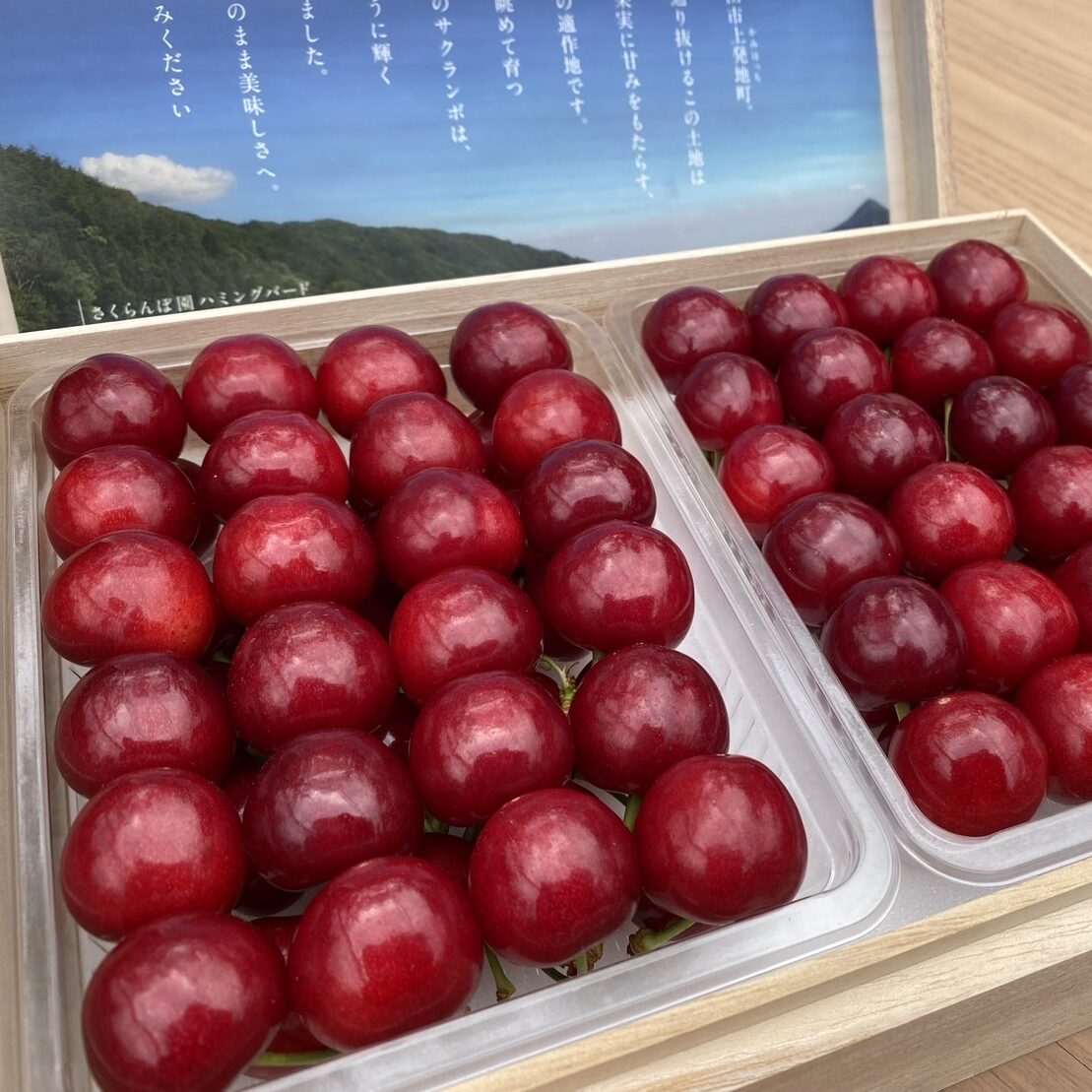 HW様リフティングトング&土佐山鳶 傷つけ